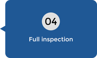 Full Inspection